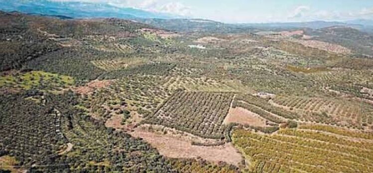 Να συνεννοούνται οι υπηρεσίες μεταξύ τους